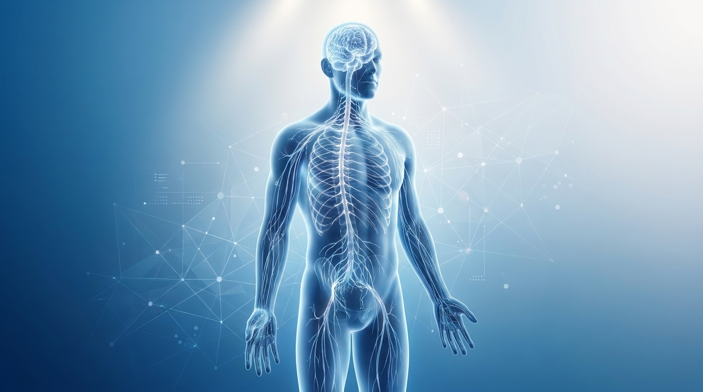 ALS vs MS: Understanding the Key Differences